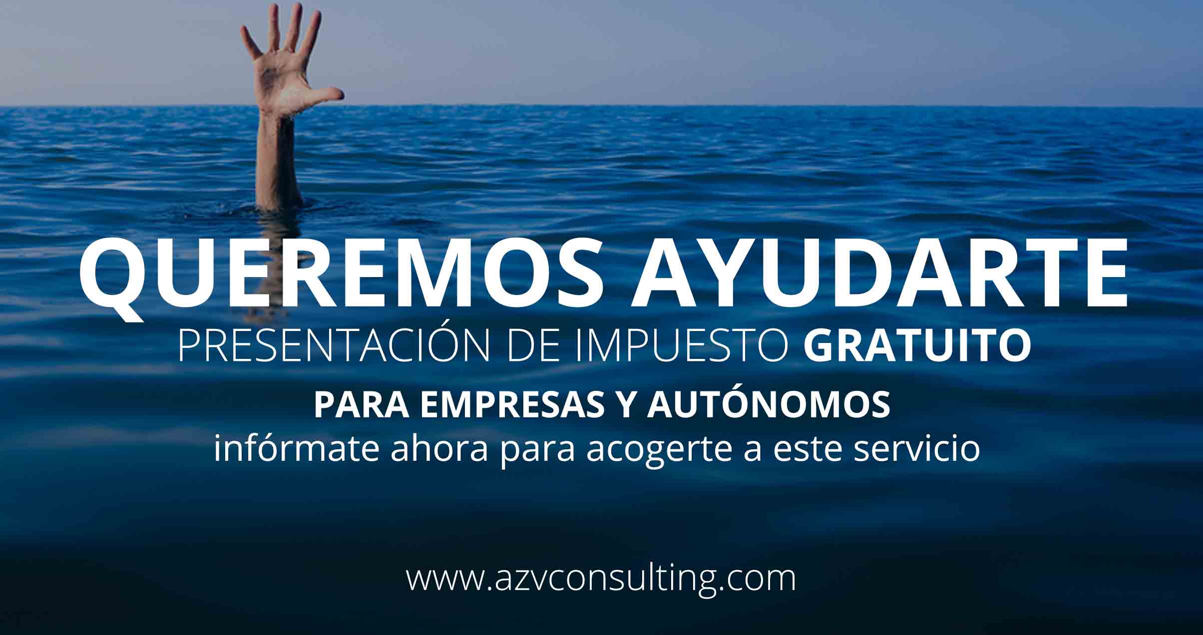 AZV Consulting